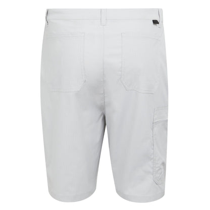 Silver Grey - Back - Regatta Mens Dalry Multi Pocket Shorts