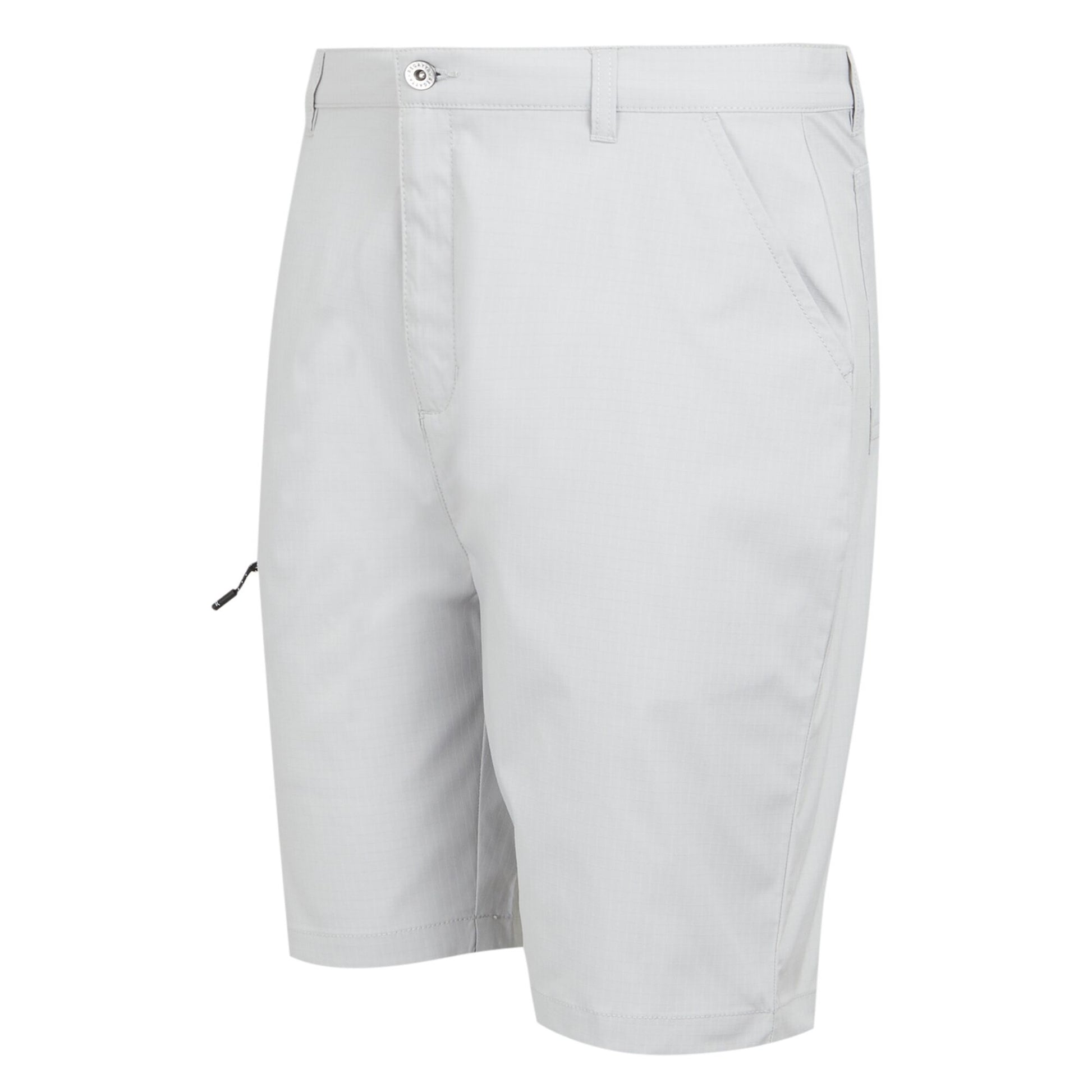 Silver Grey - Side - Regatta Mens Dalry Multi Pocket Shorts