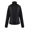 Black-Flamingo Pink - Back - Regatta Womens-Ladies Steren II Hybrid Jacket