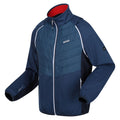 Moonlight Denim-Navy-Danger Red - Side - Regatta Mens Steren II Softshell Hybrid Jacket