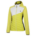 Yellow Plum-White - Side - Dare 2B Womens-Ladies Ascending Hybrid Jacket