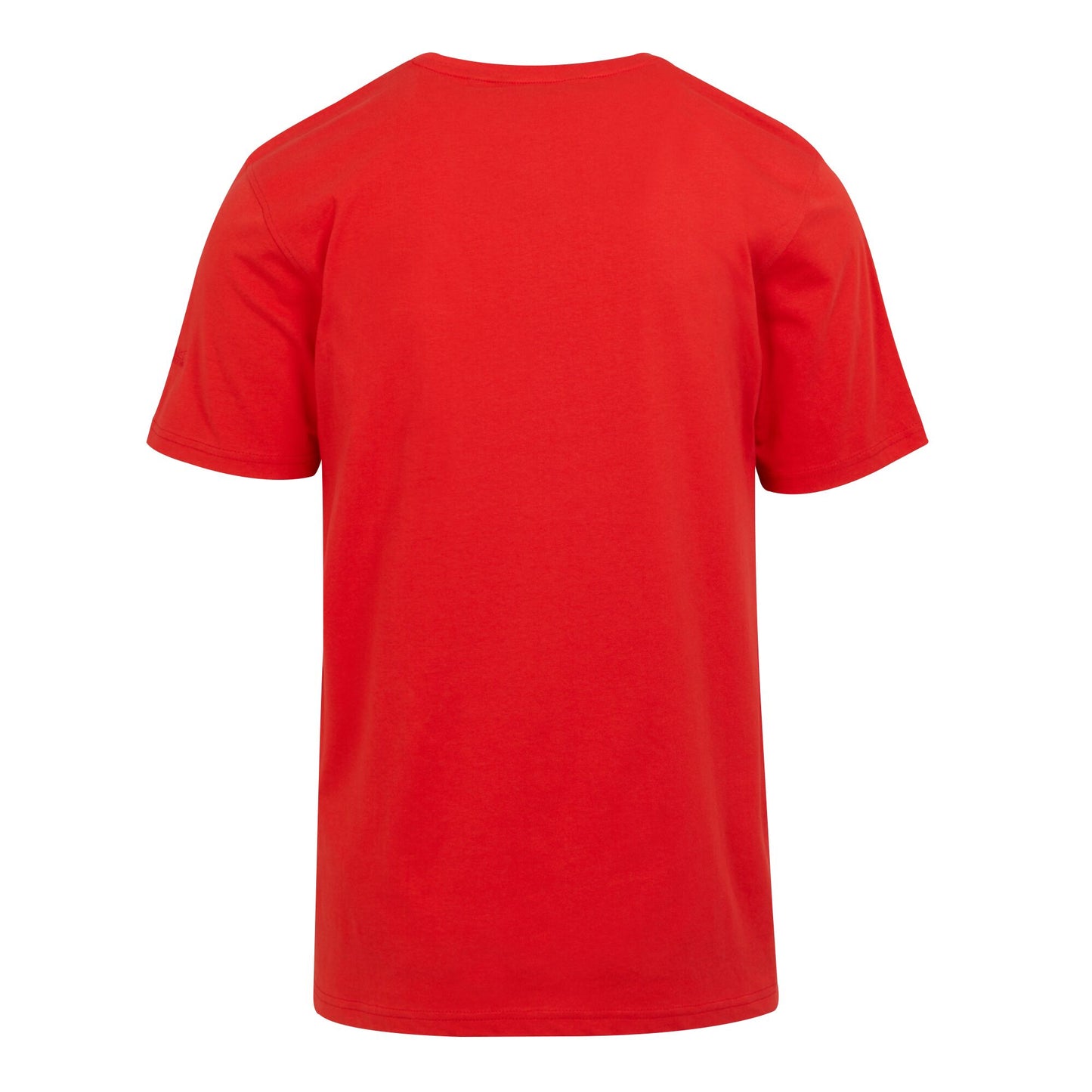High Risk Red - Back - Regatta Mens Cline VIII Go Explore T-Shirt
