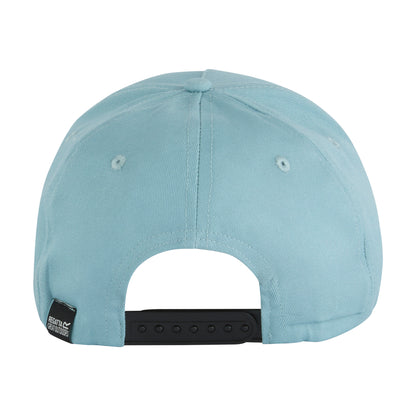 Arctic - Back - Regatta Unisex Adult Logo Snapback Cap