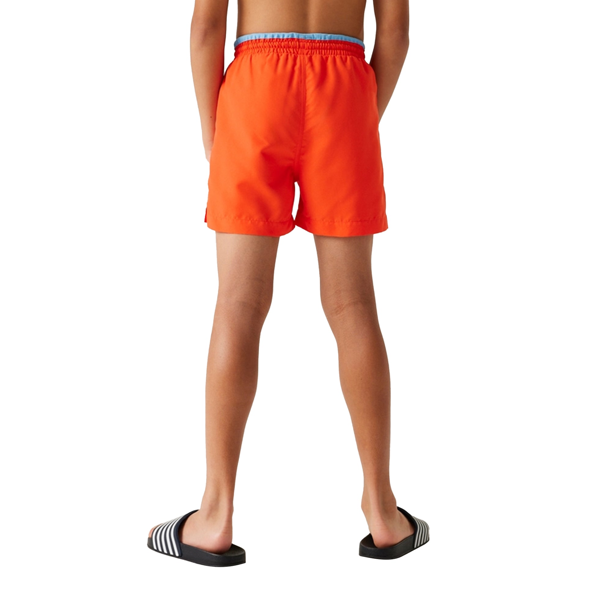 Tangerine Tango - Pack Shot - Regatta Childrens-Kids Skander III Plain Swim Shorts