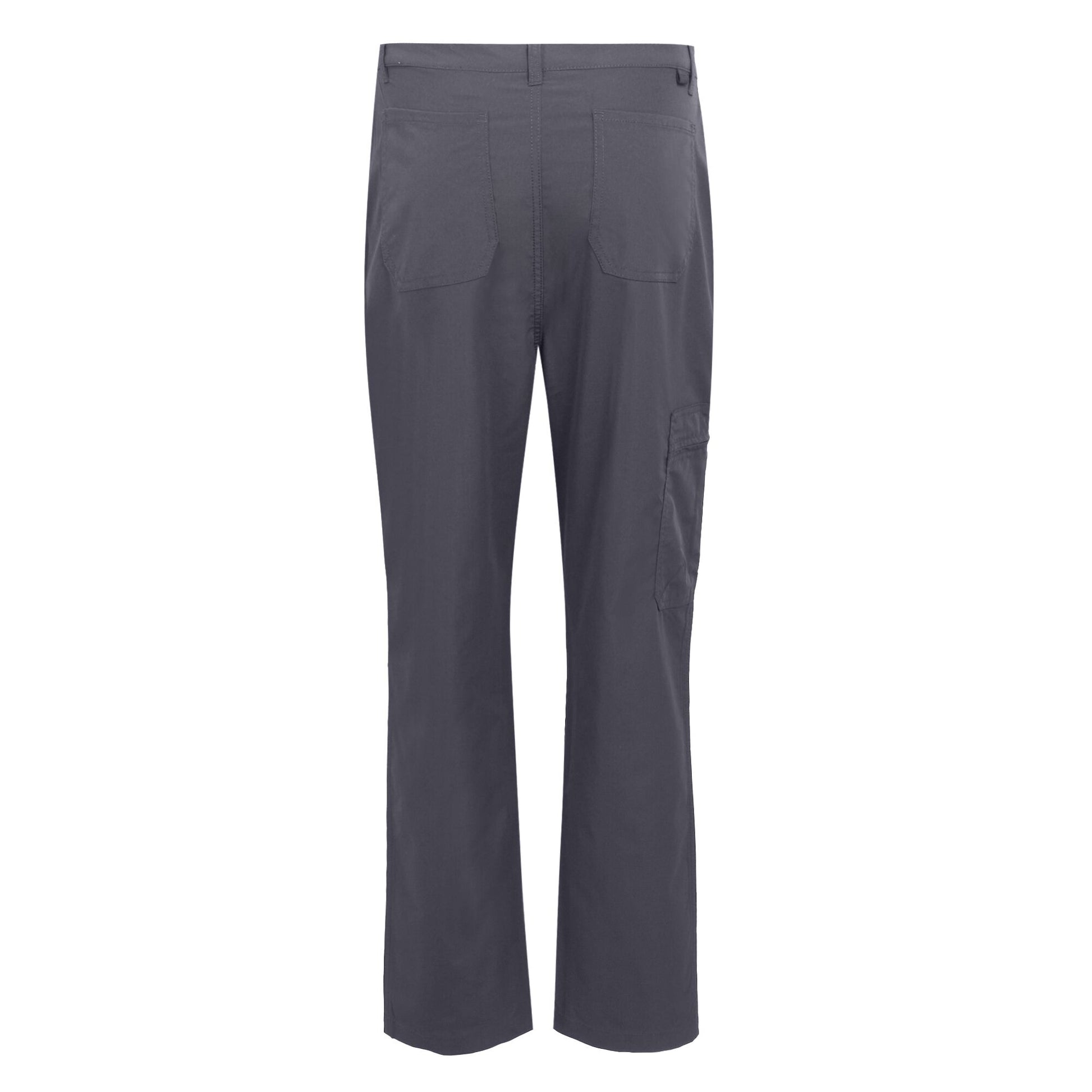 Seal Grey - Back - Regatta Mens Dalry Multi Pocket Trousers