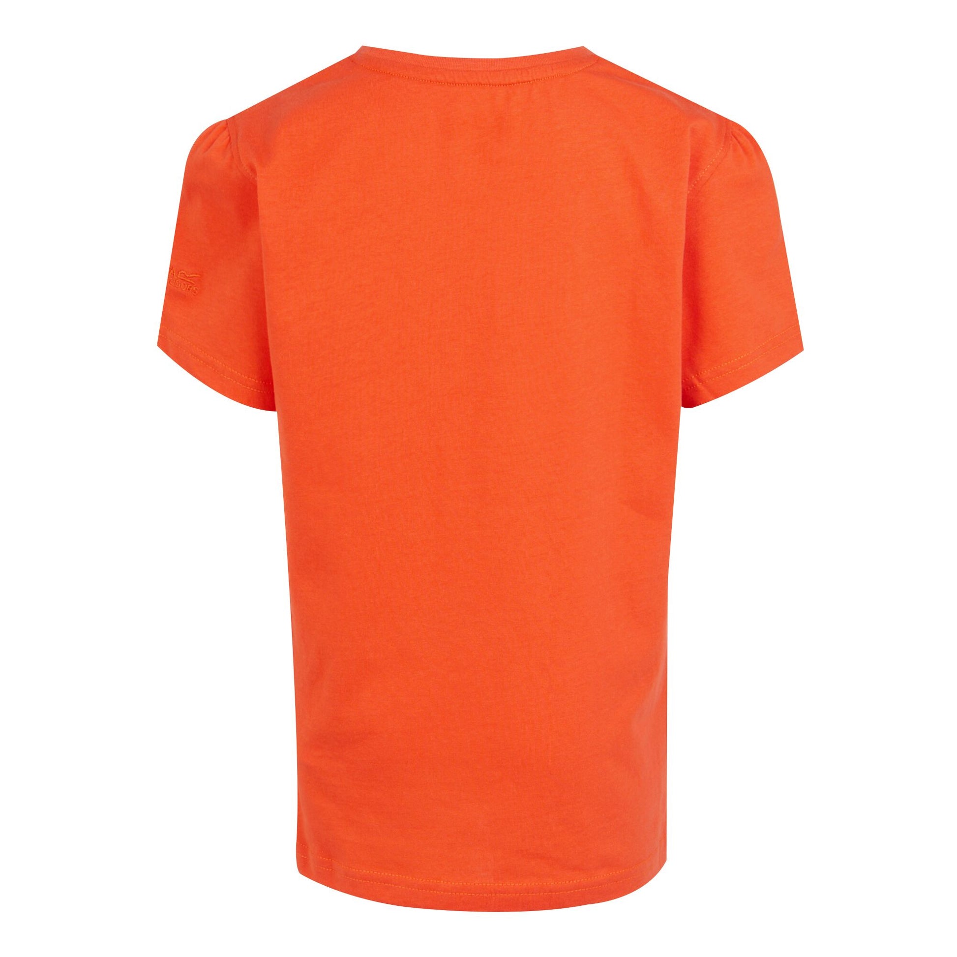 Satsuma - Back - Regatta Childrens-Kids Bosley VII Butterflies T-Shirt