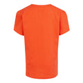 Satsuma - Back - Regatta Childrens-Kids Bosley VII Butterflies T-Shirt