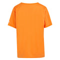 Persimmon - Back - Regatta Childrens-Kids Alvardo VIII Skateboard T-Shirt