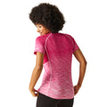 Pink Potion - Pack Shot - Regatta Womens-Ladies Ombre T-Shirt