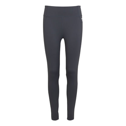 Seal Grey - Front - Regatta Womens-Ladies Holeen Pro Compression Leggings
