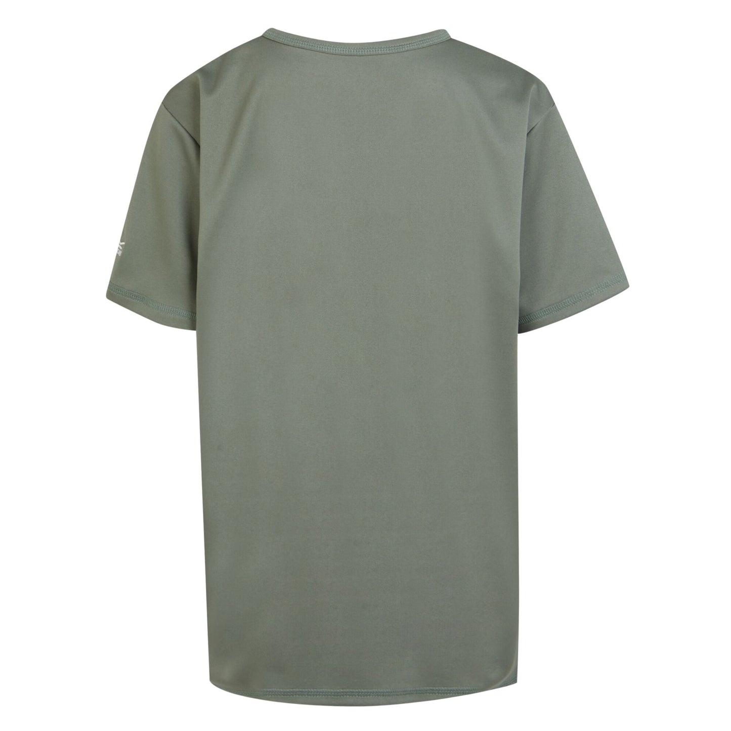 Agave Green - Back - Regatta Childrens-Kids Alvardo VIII Explore Landscape T-Shirt
