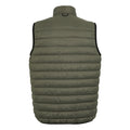 Treetop - Back - Regatta Mens Hillpack II Gilet