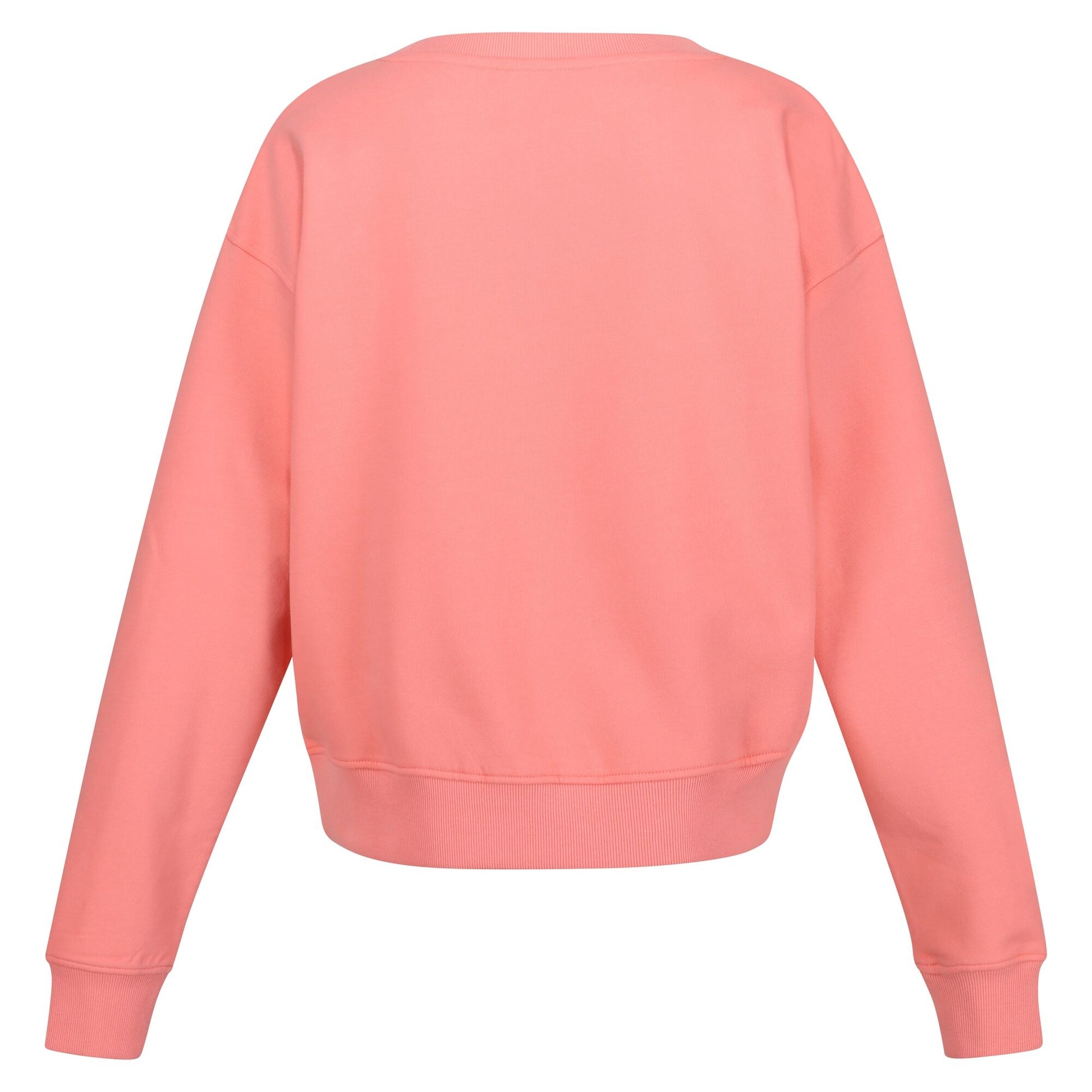 Shell Pink - Back - Regatta Womens-Ladies Avika Zig Zag Sweatshirt