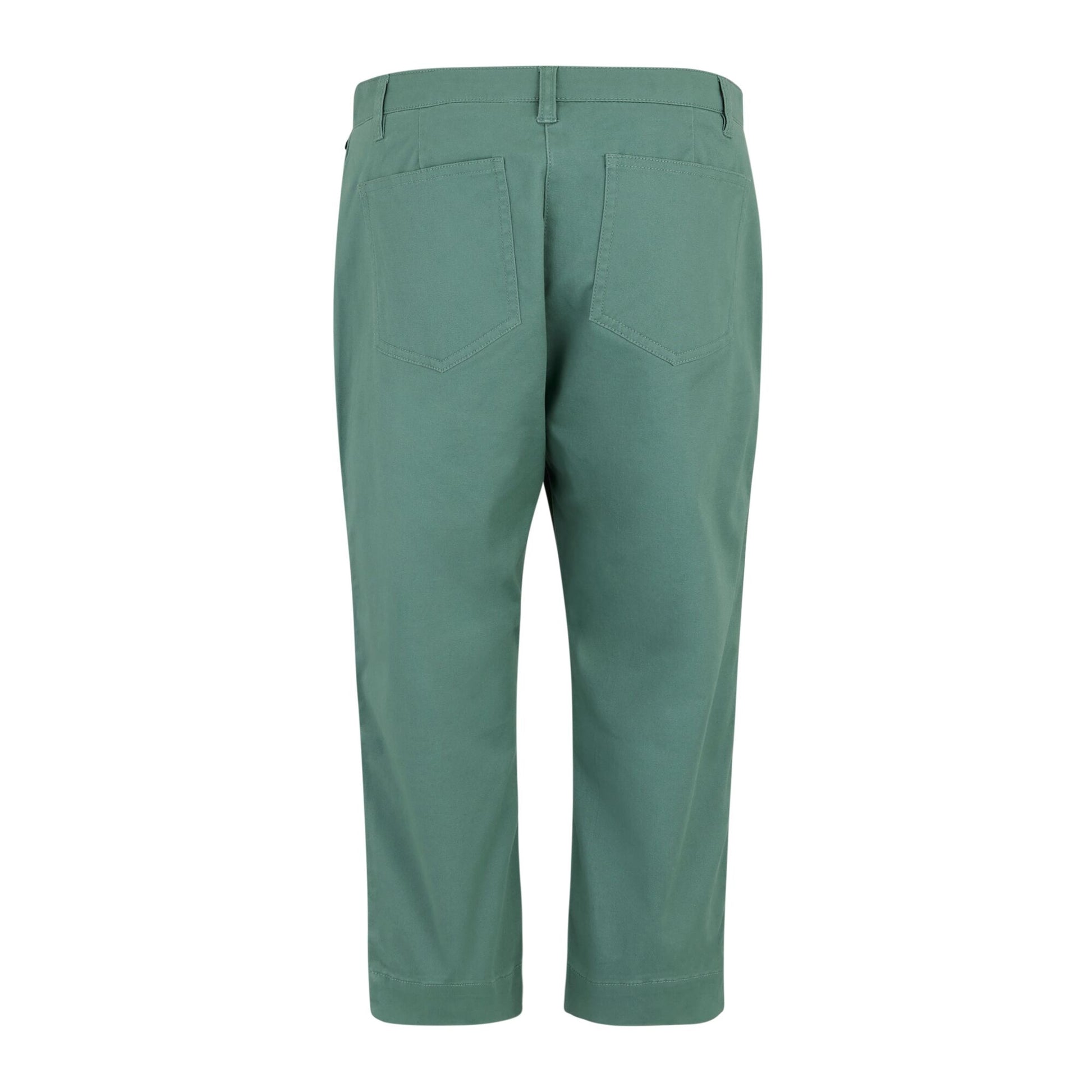 Ivy Moss - Back - Regatta Womens-Ladies Bayletta Capri Trousers