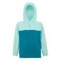 Aruba Blue-Exotic Plume-Icy Morn - Front - Regatta Childrens-Kids Fayley Fleece Hoodie