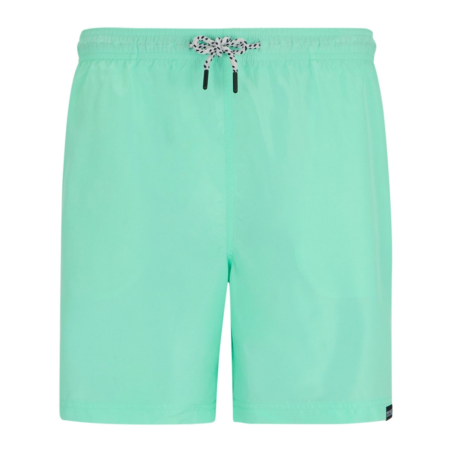 Ice Green - Front - Regatta Mens Mackleyna Swim Shorts