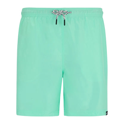 Ice Green - Front - Regatta Mens Mackleyna Swim Shorts