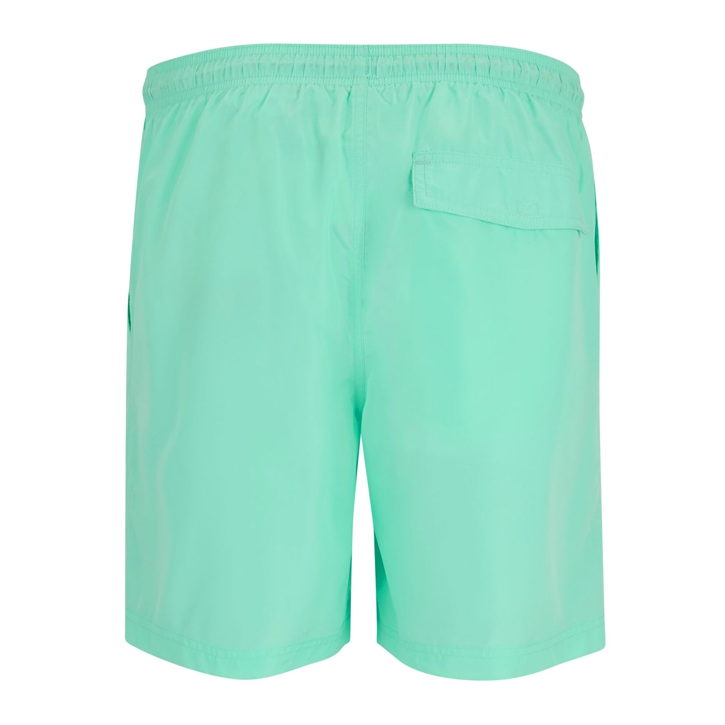 Ice Green - Back - Regatta Mens Mackleyna Swim Shorts