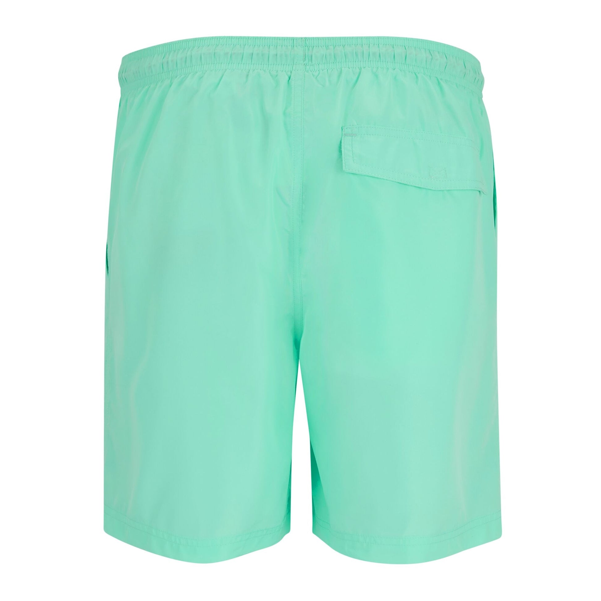 Ice Green - Back - Regatta Mens Mackleyna Swim Shorts
