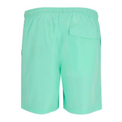 Ice Green - Back - Regatta Mens Mackleyna Swim Shorts