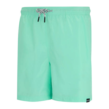 Ice Green - Side - Regatta Mens Mackleyna Swim Shorts