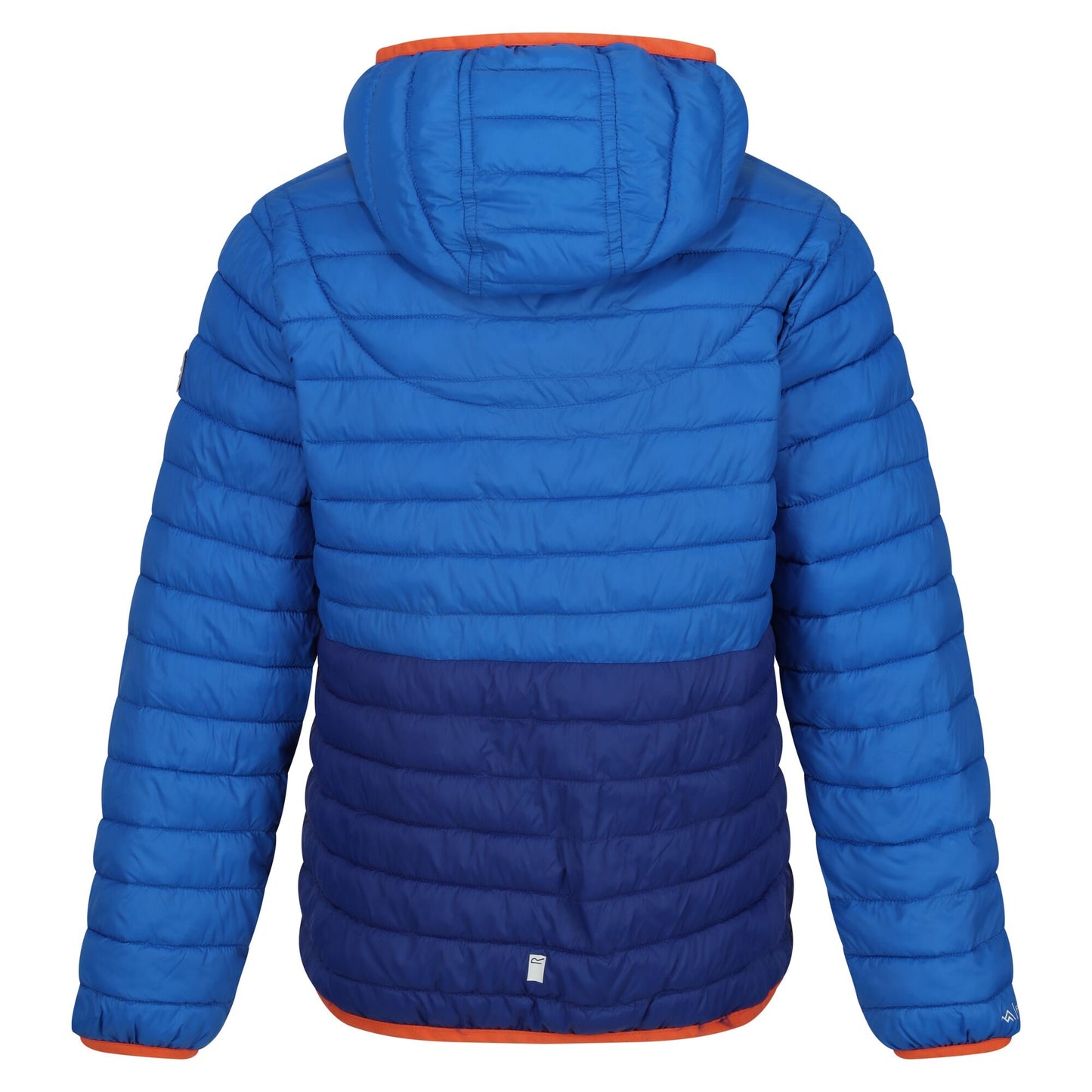 Oxford Blue-New Royal - Back - Regatta Childrens-Kids Hillpack II Colour Block Padded Jacket