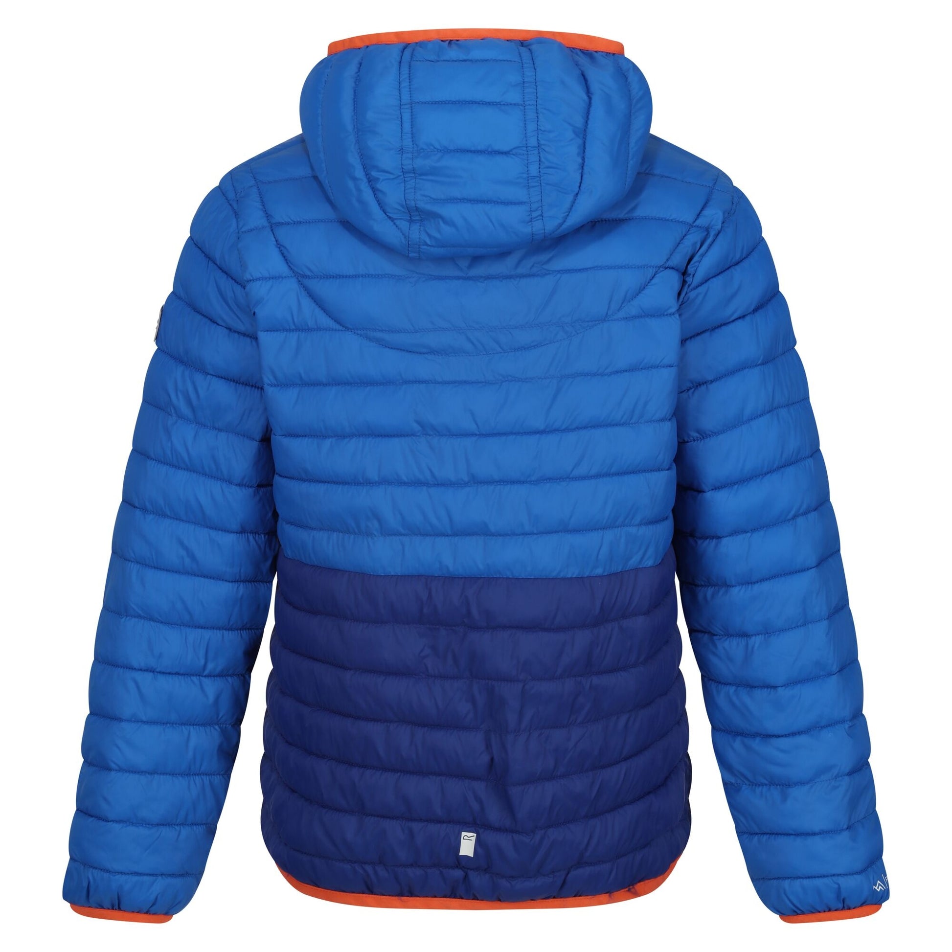 Oxford Blue-New Royal - Back - Regatta Childrens-Kids Hillpack II Colour Block Padded Jacket