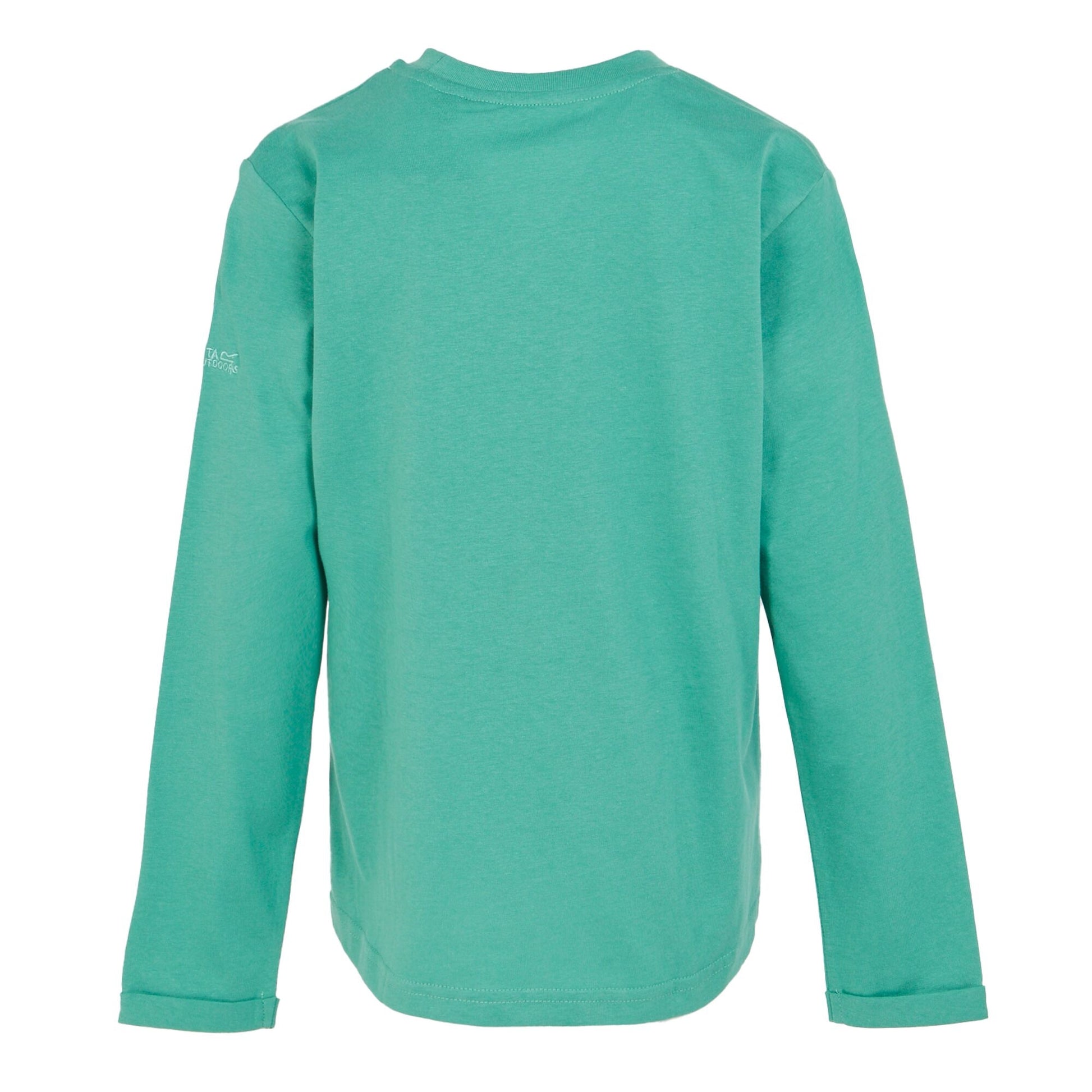 Dusty Green - Back - Regatta Childrens-Kids Wenbie III Flower Mountain T-Shirt