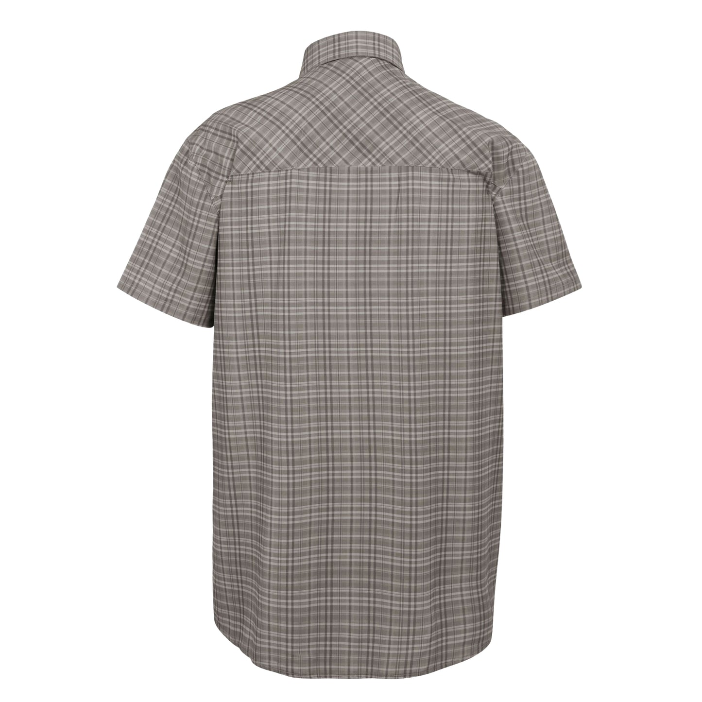 Treetop - Back - Regatta Mens Checked Packaway Travel Shirt
