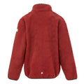 Red Ochre - Back - Regatta Childrens-Kids Frankie Full Zip Fleece Jacket