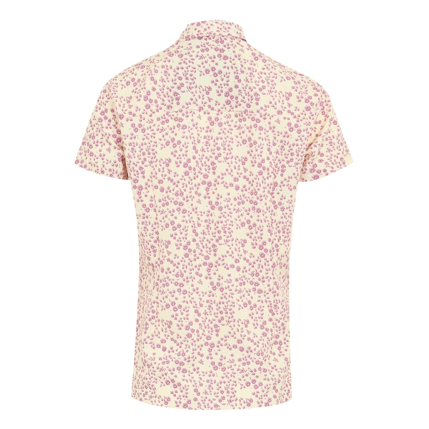 Light Vanilla - Back - Regatta Womens-Ladies Floral Packaway Short-Sleeved Travel Shirt