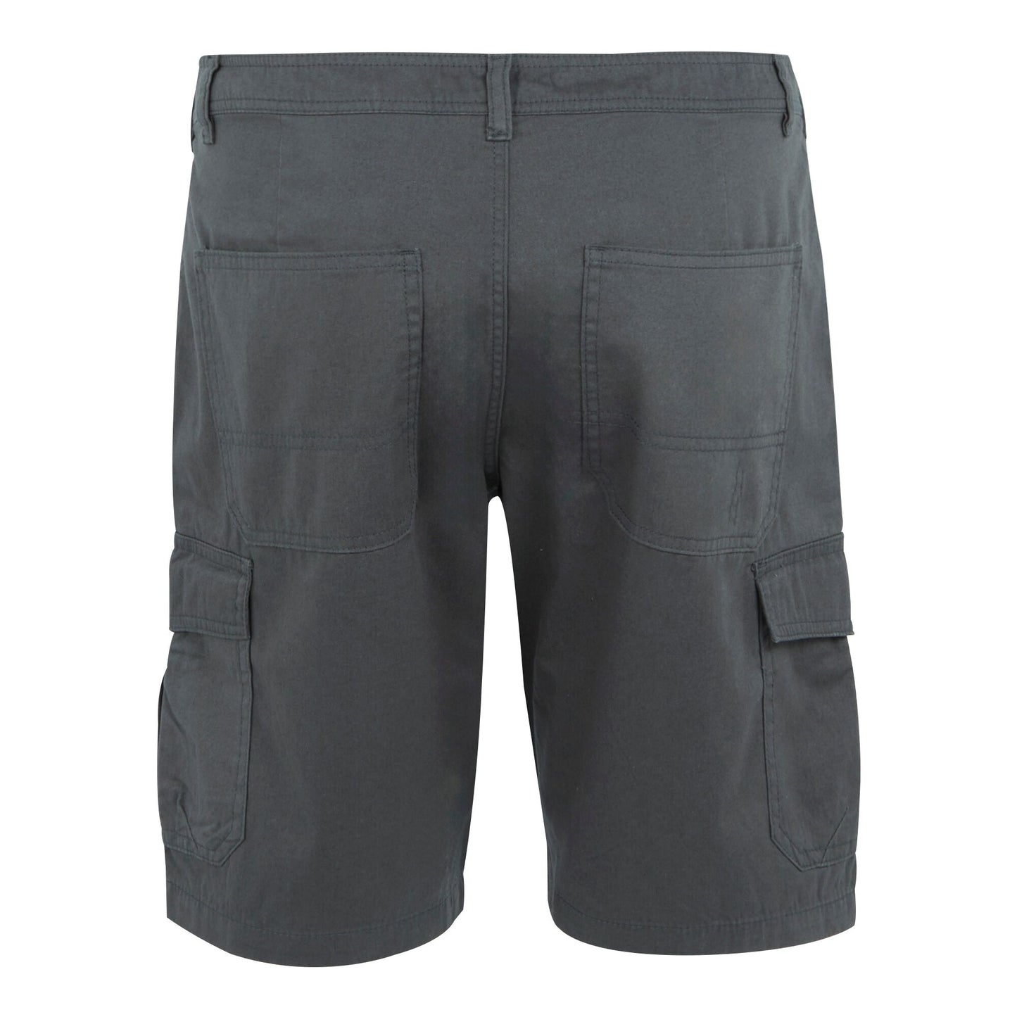 Seal Grey - Back - Regatta Mens Ruwan Casual Shorts