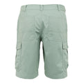 Glacier - Back - Regatta Mens Ruwan Casual Shorts
