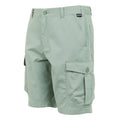 Glacier - Side - Regatta Mens Ruwan Casual Shorts