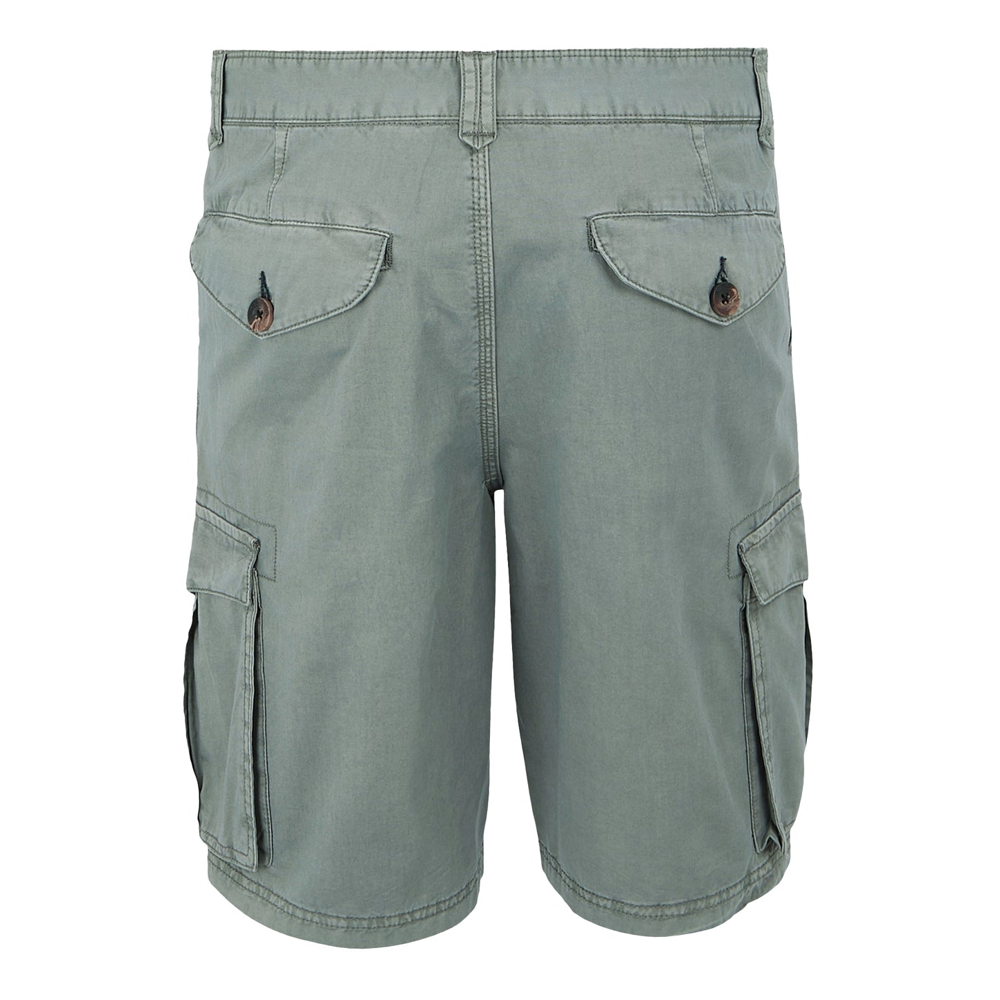Storm Grey - Back - Regatta Mens Ruwan Casual Shorts