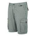 Storm Grey - Side - Regatta Mens Ruwan Casual Shorts