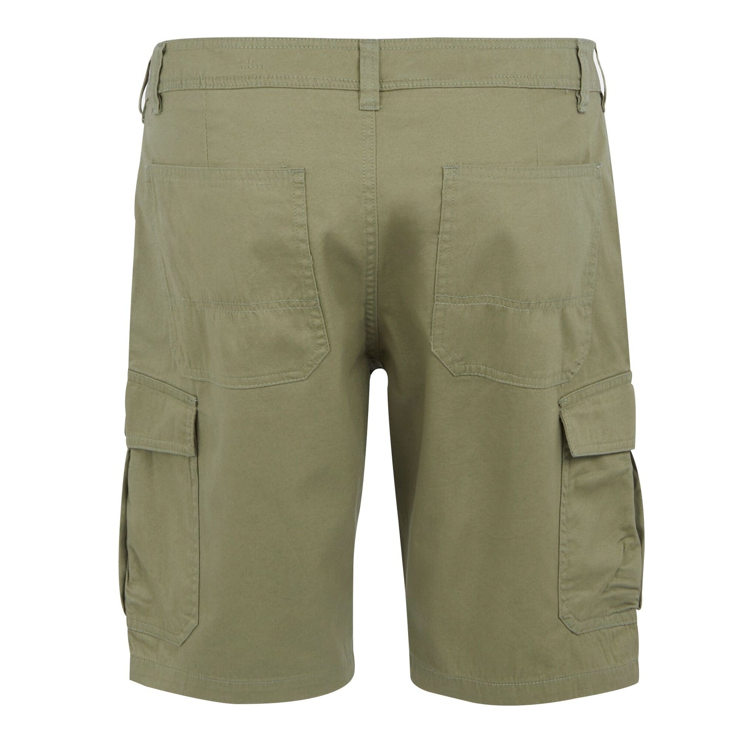 Fauna - Back - Regatta Mens Ruwan Casual Shorts