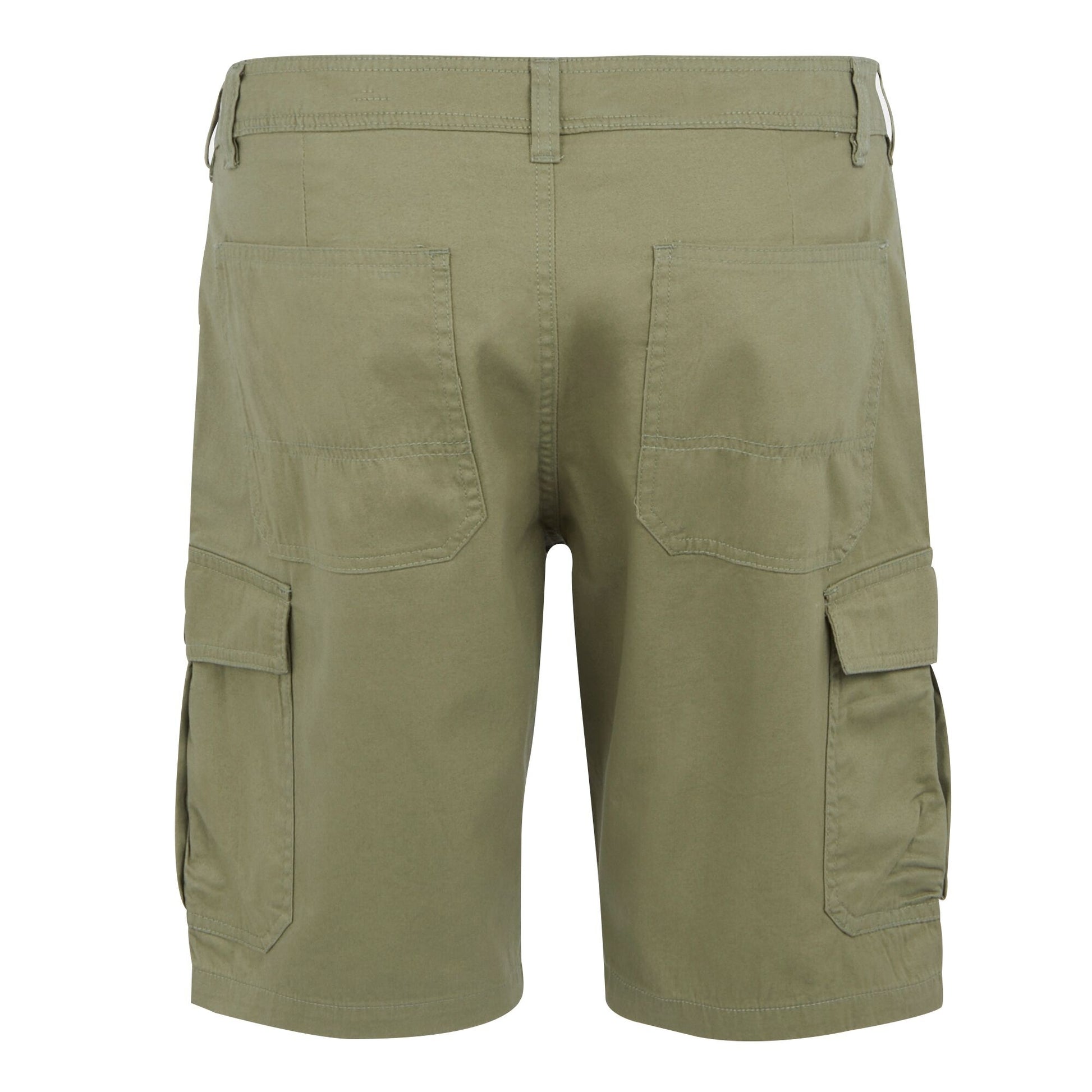 Fauna - Back - Regatta Mens Ruwan Casual Shorts