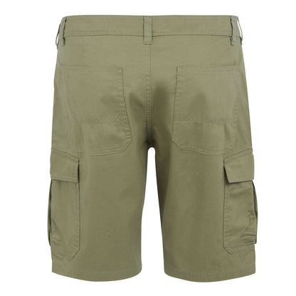 Fauna - Back - Regatta Mens Ruwan Casual Shorts