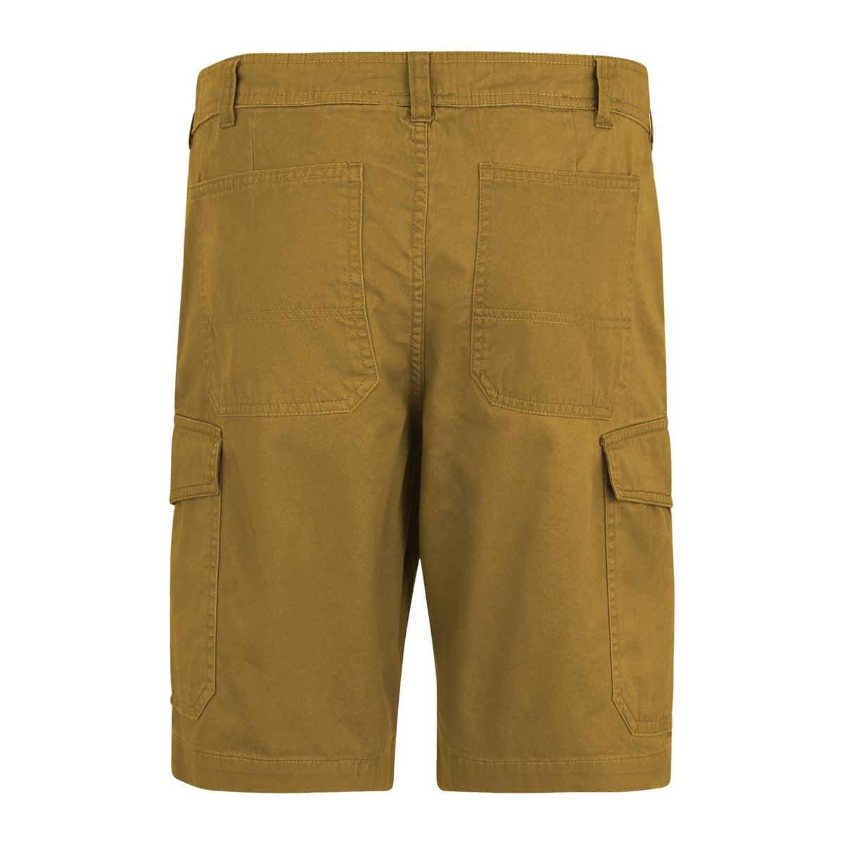 Wood Brown - Back - Regatta Mens Ruwan Casual Shorts