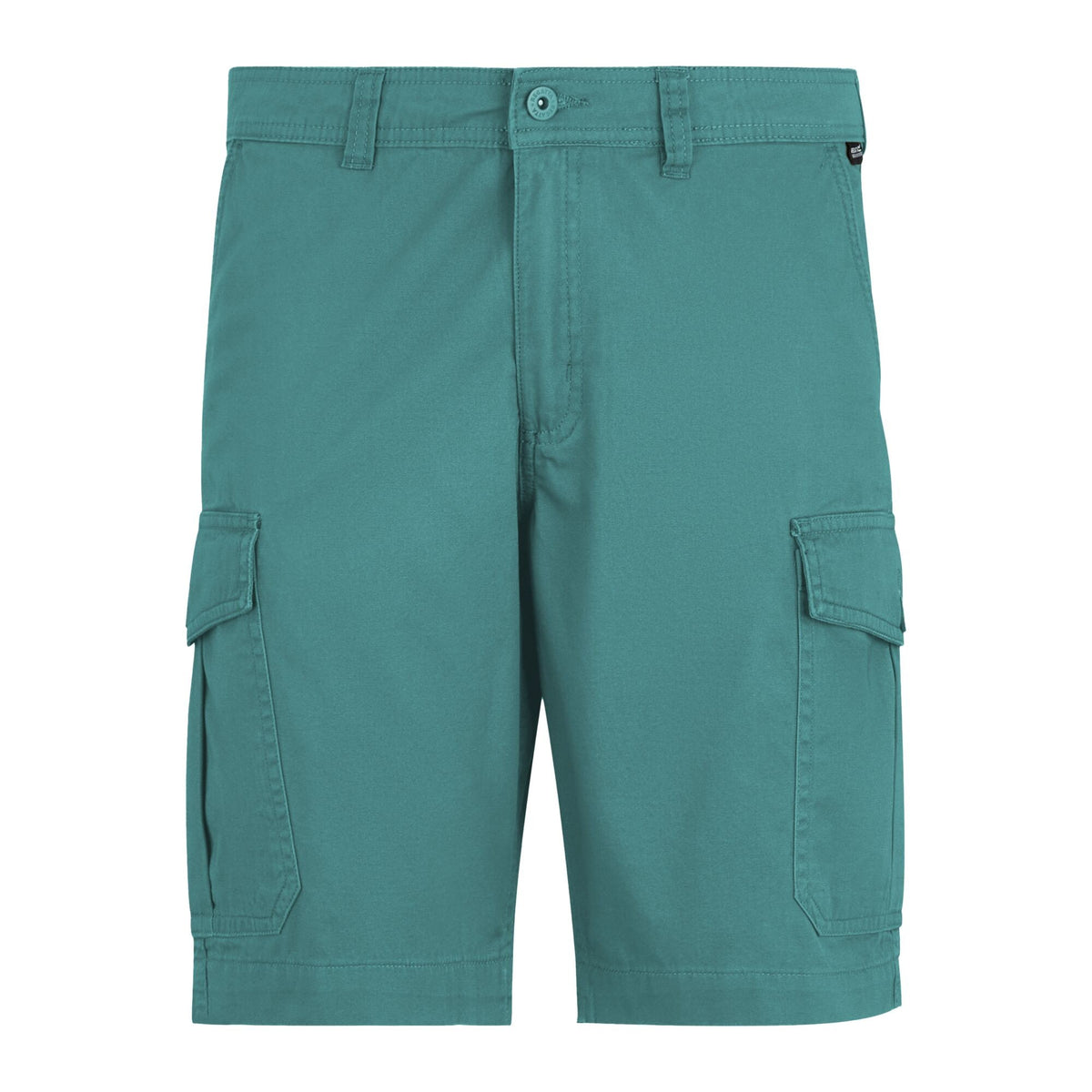 Arctic - Front - Regatta Mens Ruwan Casual Shorts