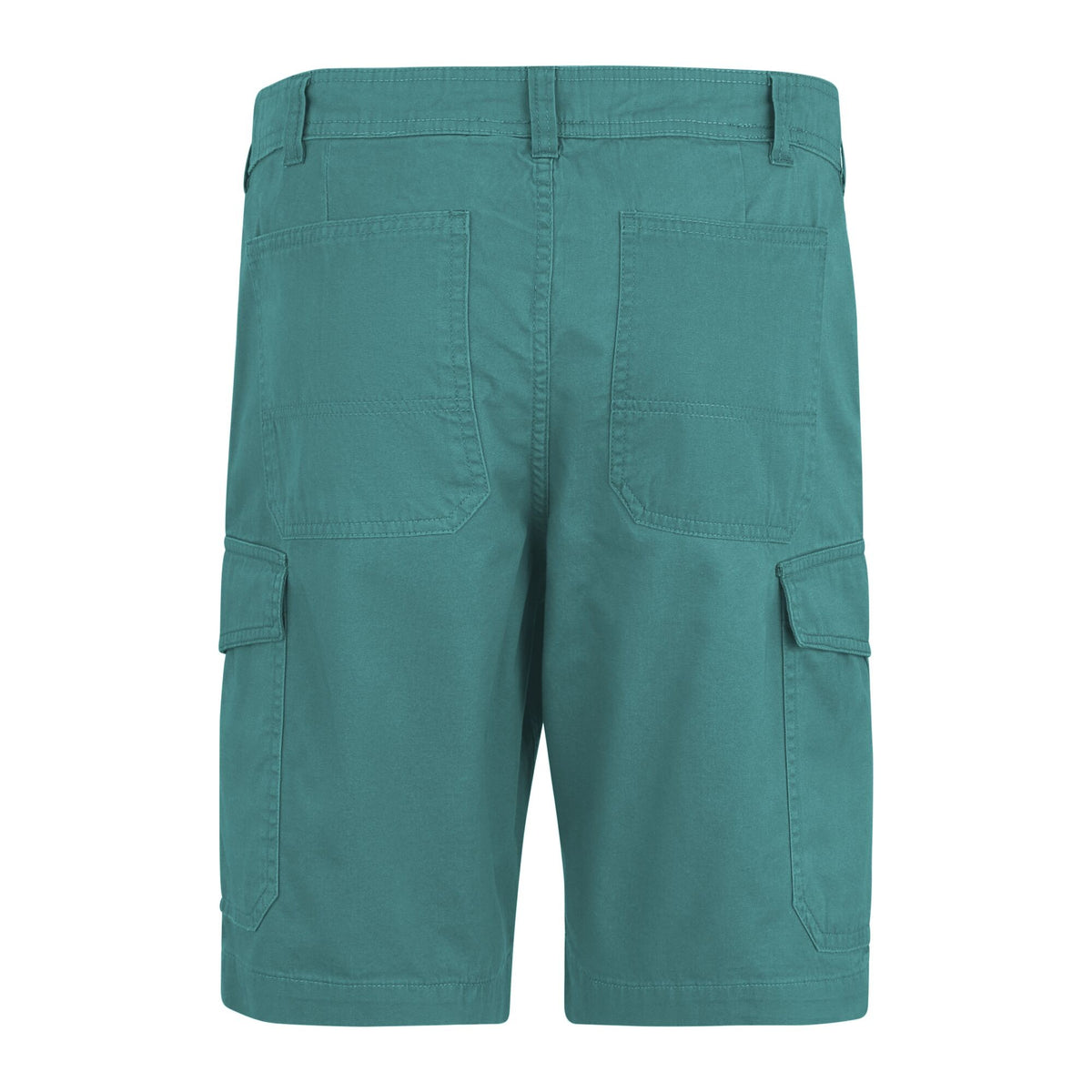Arctic - Back - Regatta Mens Ruwan Casual Shorts