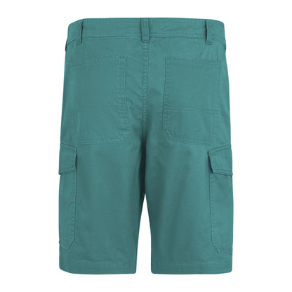 Arctic - Back - Regatta Mens Ruwan Casual Shorts