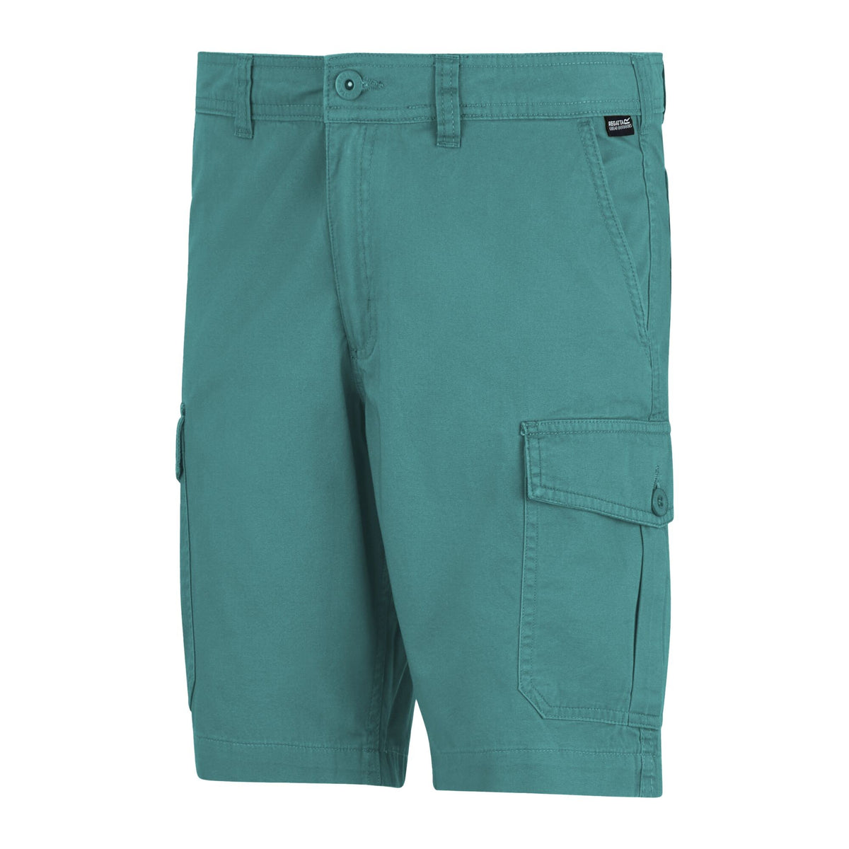 Arctic - Side - Regatta Mens Ruwan Casual Shorts
