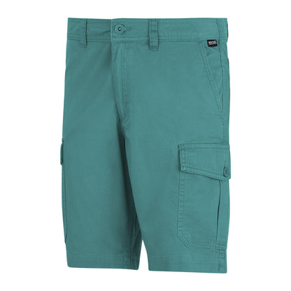Arctic - Side - Regatta Mens Ruwan Casual Shorts