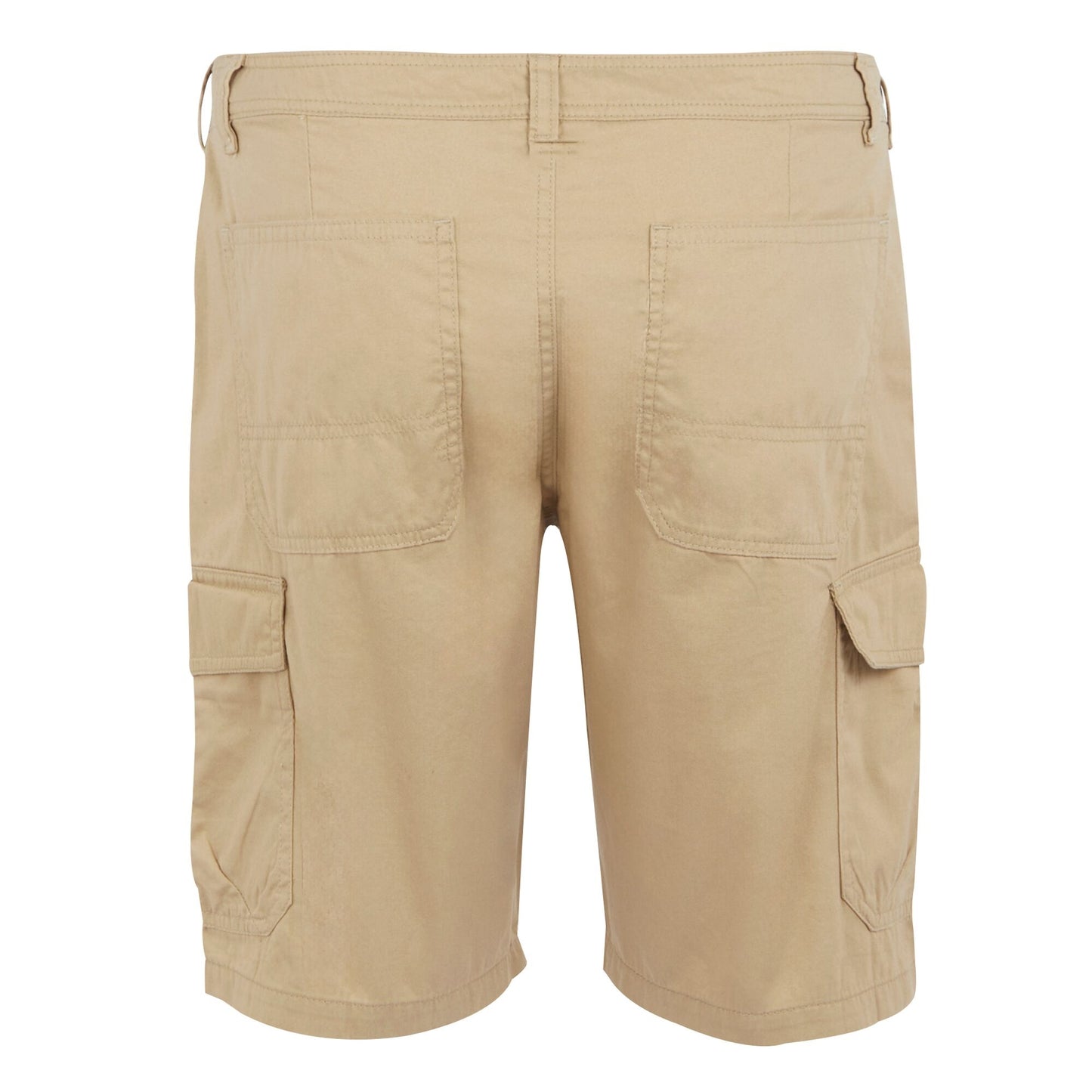 Oat - Back - Regatta Mens Ruwan Casual Shorts