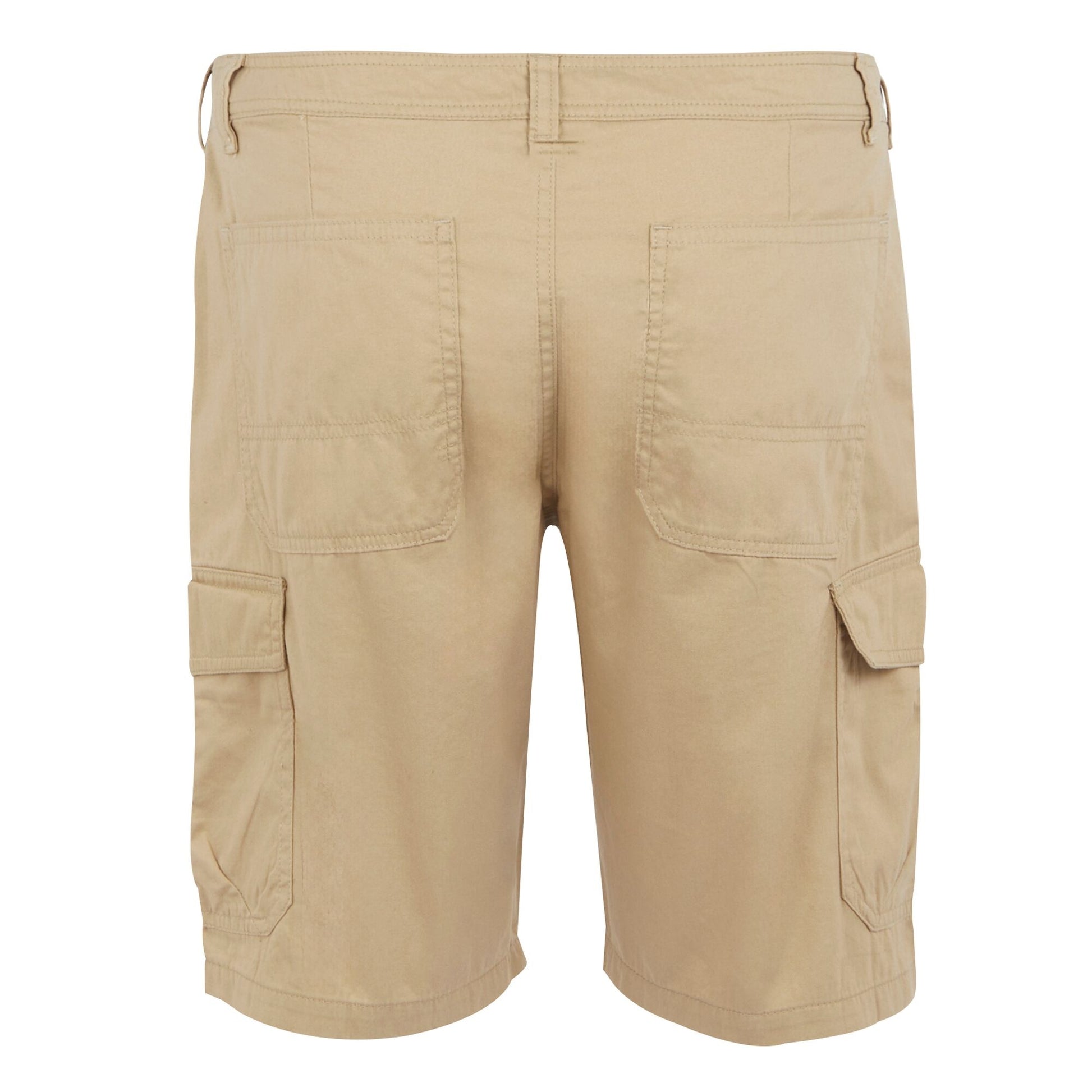 Oat - Back - Regatta Mens Ruwan Casual Shorts