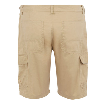 Oat - Back - Regatta Mens Ruwan Casual Shorts