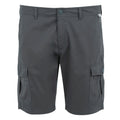 Seal Grey - Front - Regatta Mens Ruwan Casual Shorts