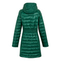 Rainforest - Back - Regatta Womens-Ladies Andel IV Quilted Baffled Jacket